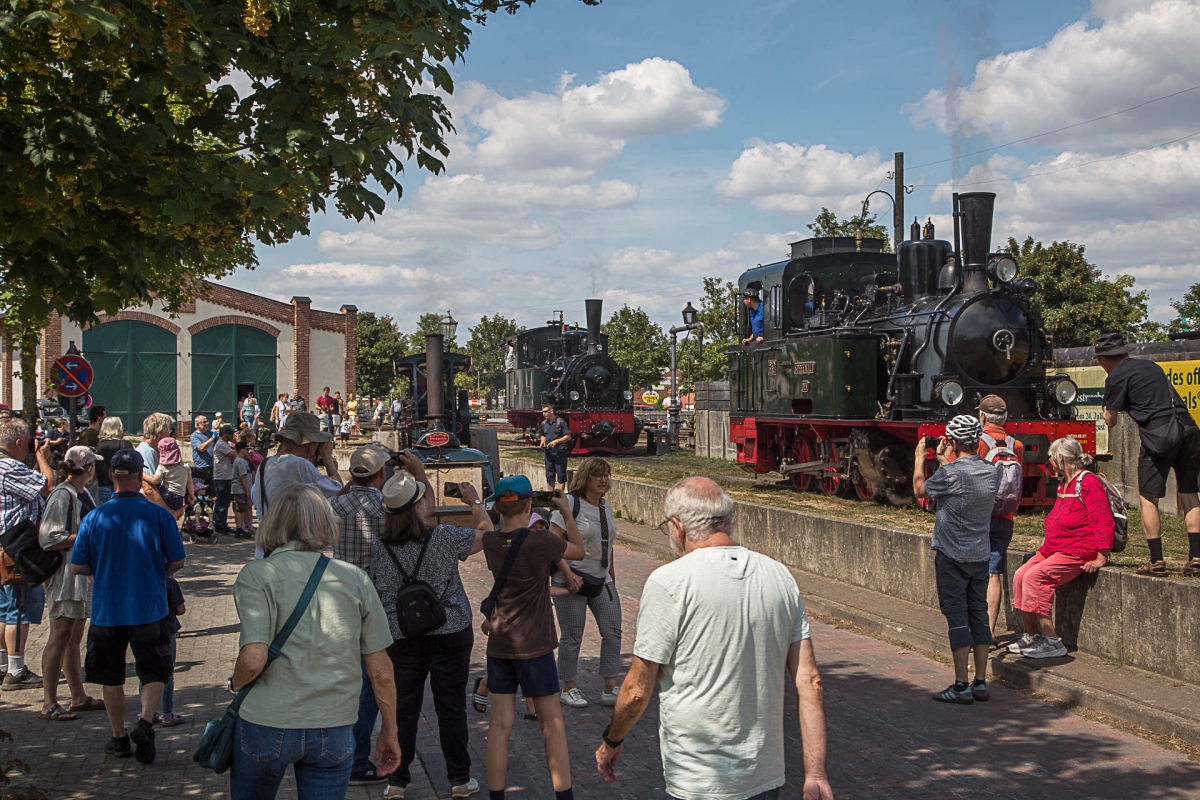 Abb.: Hier erregen gleich drei Dampfdinos die Aufmerksamkeit des Publikums - Loks HOYA und SPREEWALD an der Bekohlung und die Dampfwalze der Firma Dallmann auf der Straße. (Bild: Christian Schröder)