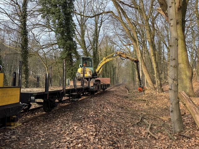 Abb.: Aber zum Glück kommen bei den schweren Stücken Geräte zur Hilfe, wie dieser Kleinbagger mit Astgreifer. Und damit die Form gewahrt bleibt, auf historischem Flachwagen verfahren. (Klicken vergrößert)